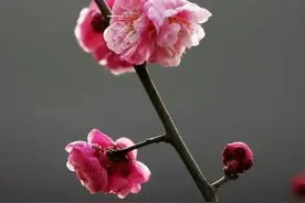 散文：相遇春天，期待人生美好的抵达图片