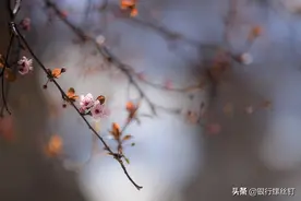 4个价值投资原则，让你成为投资高手图片