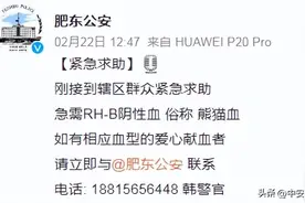 全城急寻的“熊猫血”匹配成功！图片