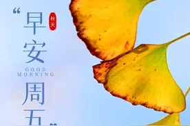 新的一天早安，不念过往，不畏将来，做最好的自己，做个简单的人图片
