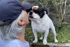 60岁周星驰罕晒近照！与爱犬合影互动不断，隔空嘟嘴献吻显宠溺图片