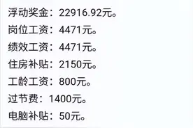 被困住的空姐和飞行员：自学PS、兼职开出租 工资降70%却不敢辞职图片