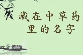 好听的中草药名字，拿来做小说人物的名字吧！图片
