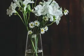 给时光一个浅浅的回眸，给自己一份微笑从容图片