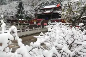泸山景区大雪纷飞，吸引众多市民游客流连忘返！图片