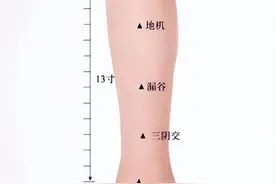 人身上自带的“排水阀”，打开它，泻你一身湿气！图片