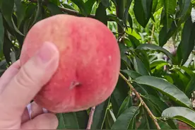 唐山葬礼风俗：很多人都不知道的礼节图片