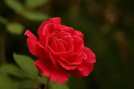 一个女人愿意与你“坦白”，往往是“心动”的开始，错不了图片