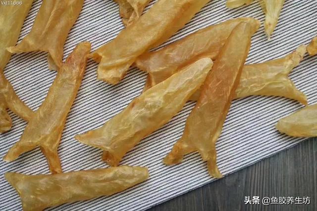 越南巴沙鱼胶 2026年越南巴沙鱼鱼胶好不好
