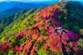 红颜湖北来了！这里是人间四月天图片