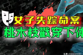 2014年，桃木枝戳穿下体？河北女子死状诡异，求爱日记本藏杀机图片