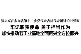 贺志亮参加省第十二次党代会吉林代表团讨论图片
