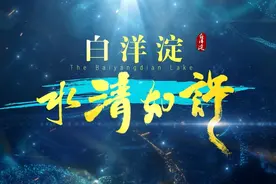 看白洋淀，水清如许！图片