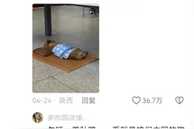 笑不活了！山西午睡文化有多离谱？已经不分物种，连狗都要午睡图片
