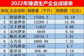 16家豫酒企业2022年总销售额接近100亿，仰韶杜康宝丰位居前三图片