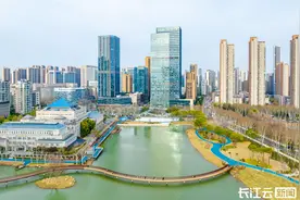 武汉“网红”公园今天焕新归来！ 日享林下漫游 夜赏灯光音乐秀图片