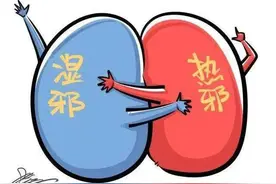 何谓湿热下注？图片