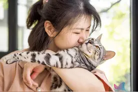 什么是鹦鹉热？为什么会出现在猫和鸭子的身上？今天告诉你图片