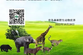 青岛西海岸新区部分区域实施临时管控；多个景区临时关闭、多条公交线路停运、调整图片