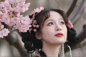 【收藏细看】最全24种春花轻松识别表解图鉴图片