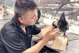 传承非遗文化｜北刘动物标本制作技艺定格生命之美图片