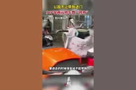 公园不让带狗进门，女子花两元停车费“停狗”图片