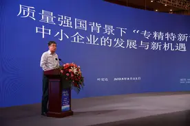 中国机械工业联合会总经济师叶定达：质量强国离不开铺天盖地的中小企业图片