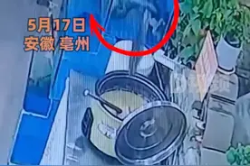鱼跳出鱼缸一头扎进电饭煲，店主：它刚被买回来，不适应鱼缸，太调皮了图片