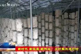 交城：刘旋在庞泉沟镇 东坡底乡 西社镇调研指导乡村振兴工作图片