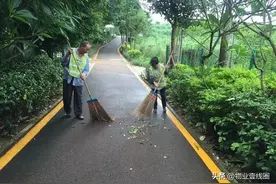 分享||日常保洁投标书某大厦园林垃圾保洁服务项目投标书33页图片