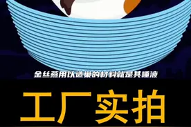 #燕窝的功效与作用图片