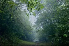 神秘“禁区”哀牢山地磁异常，夜晚释放大量二氧化碳，其实是……图片