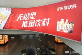 能量饮料先行者，东鹏饮料：精准卡位年轻群体，快速发展正当时图片