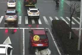 江苏苏州：超大号的“实习”贴车尾？蜀黍：这反而不安全！图片