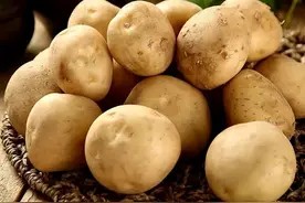 一颗卑微的土豆，如何改变了世界历史图片