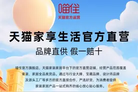 阿里电商上线“新模式”，天猫家享崛起直营“新势力”图片