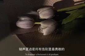 背景图 相守相望 藏于心间图片