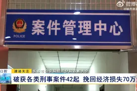 长春市公安局经开分局返赃大会：破获各类刑事案件42起 挽回经济损失70万元图片