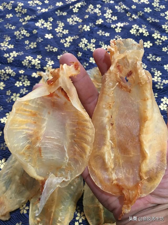 越南巴沙鱼胶好吗 2026年越南巴沙鱼的功效与作用