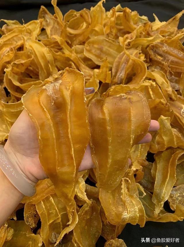 吃花胶是交智商税吗 2026年吃花胶是智商还是税