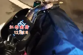 江西男子夜钓回家，竟将一条蛇带上车，半路上演人蛇大战图片