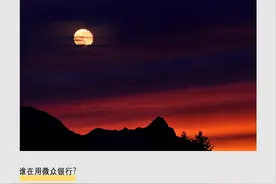 谁在用微众银行？图片