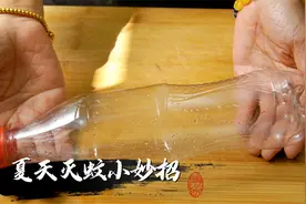 夏天蚊子多别发愁，只要一个“塑料瓶”，蚊子消灭光，先收藏了图片