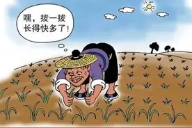 中华寓言故事-拔苗助长图片