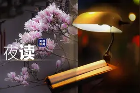 醉人的浪漫是怎样的？当玉兰花开时图片