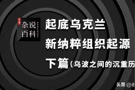 起底乌克兰新纳粹组织起源 下篇图片