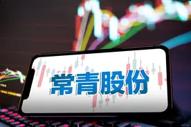 常青股份拟定增8亿切入轻量化汽车市场 前五客户收入占比超60%深度绑定江淮奇瑞图片