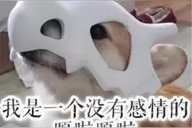 表情包:我只是一个没有感情的嘎啦嘎啦图片