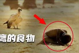 非洲从尸横遍野到中国基建，一张震惊世界的照片，在黑暗中求生存图片