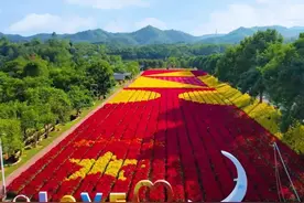 繁花似锦，梅州平远的秋天美爆了图片